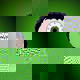 Аватара для Malice